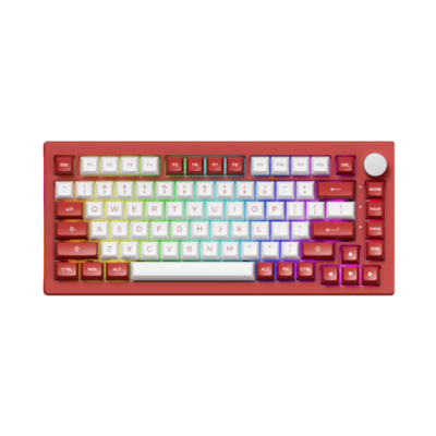 Bàn phím cơ Akko 5075B Plus Chicago (Hotswap/RGB/Multi-modes) | Voke Gaming |