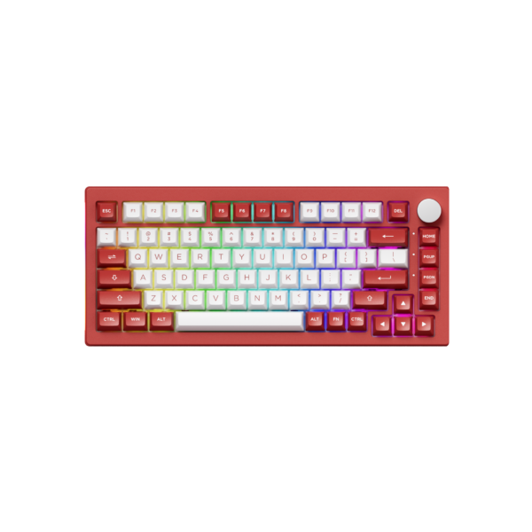 Akko 5075B Plus Chicago (Hotswap/RGB/Multi-modes)